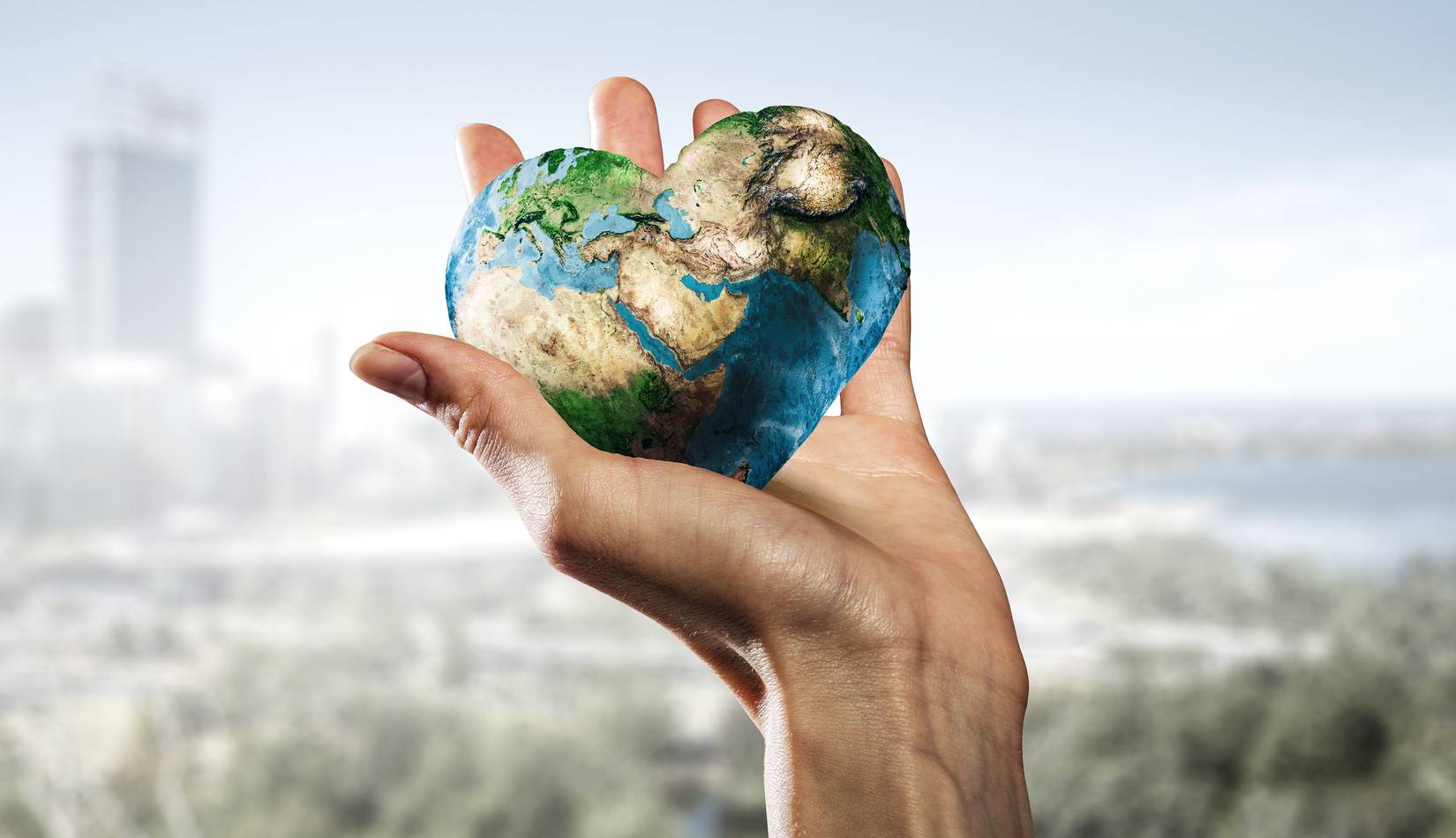 You are currently viewing A Tiny Roadmap of Their Heart