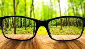 Read more about the article New glasses won’t save us.