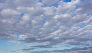 Read more about the article To the candidate I offended on Friday: Apologies.