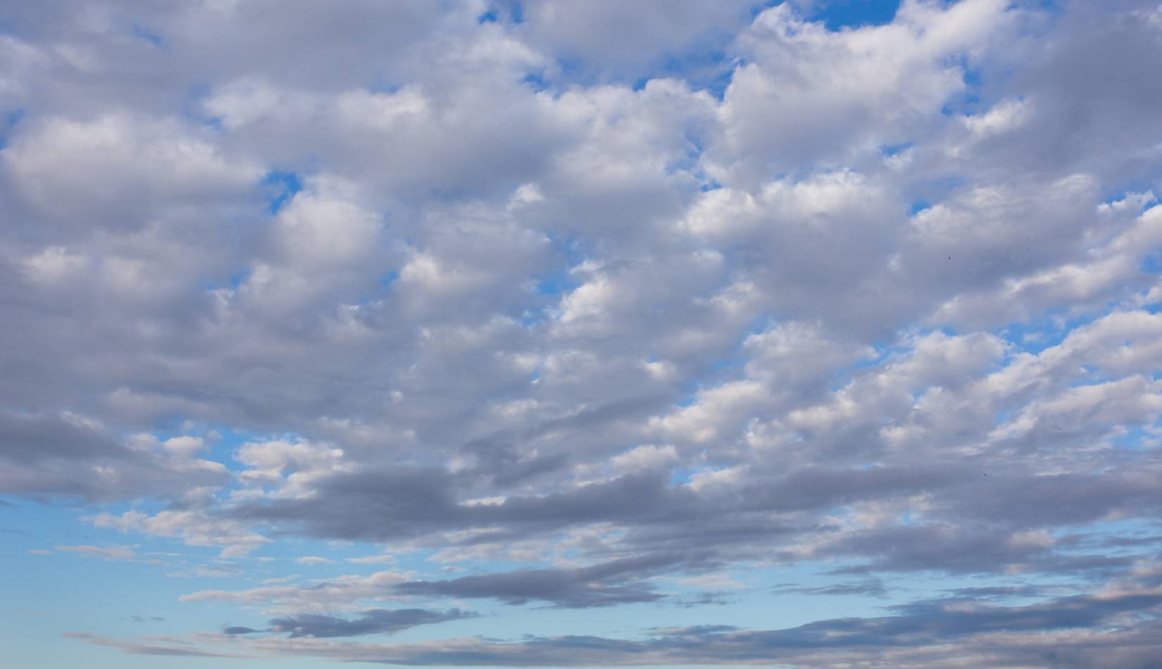 You are currently viewing To the candidate I offended on Friday: Apologies.